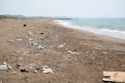 Caretta Caretta Yuvalama Alanı Çöplüğe Döndü