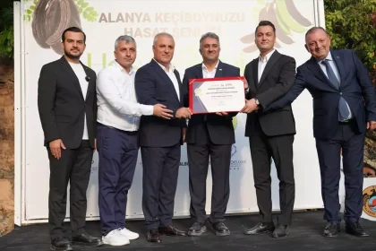 Alanya