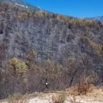 Alanya