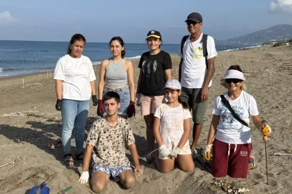 Caretta Caretta Yavruları Denize Kavuşuyor