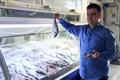 Gazipaşa