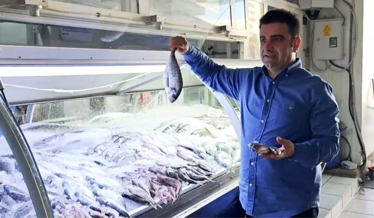 Gazipaşa