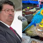 Turgut Özal
