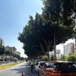 Antalya