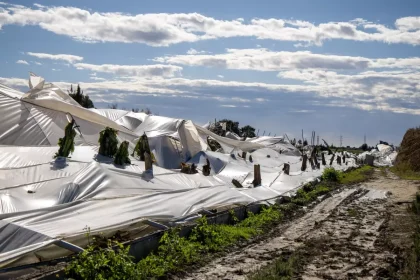 Hortumun neden olduğu zarar, gün ağardığında ortaya çıktı