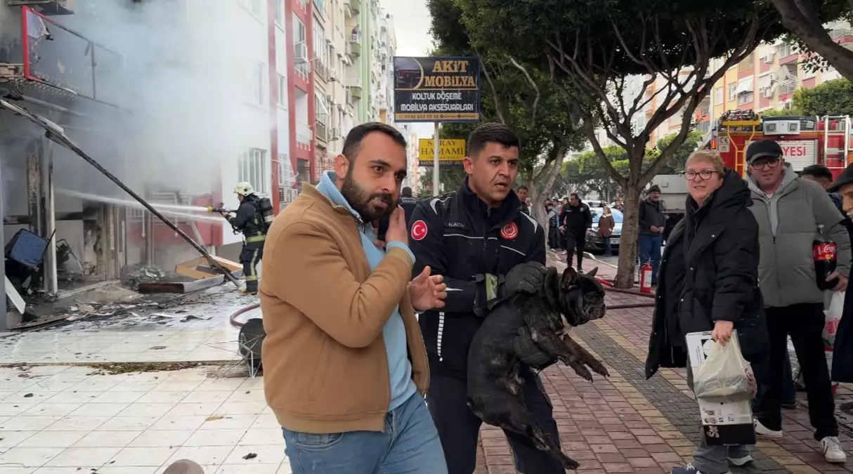 Atölyedeki yangında 4 köpeği itfaiye erleri kurtardı
