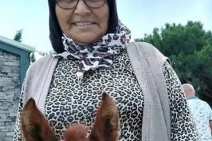 Teravihe giderken kamyonet çarptı, hayatını kaybetti