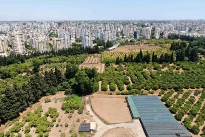 Türkiye son 20 yılda, Antalya