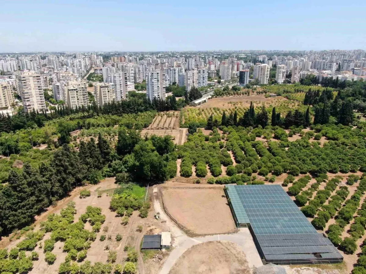 Türkiye son 20 yılda, Antalya