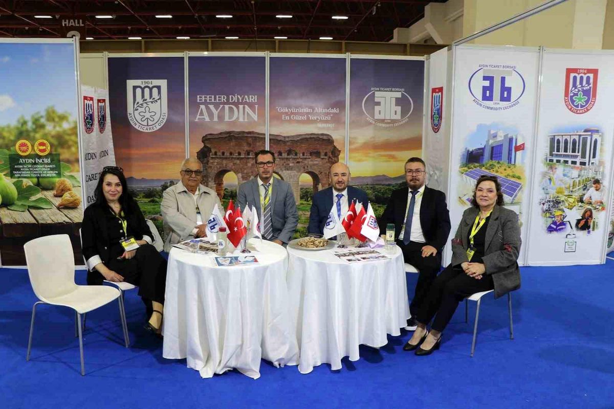 AYTO, Aydın
