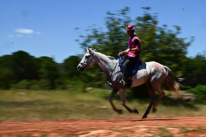 Uluslararası ve Ulusal Atlı Dayanıklılık Yarışmaları, Antalya