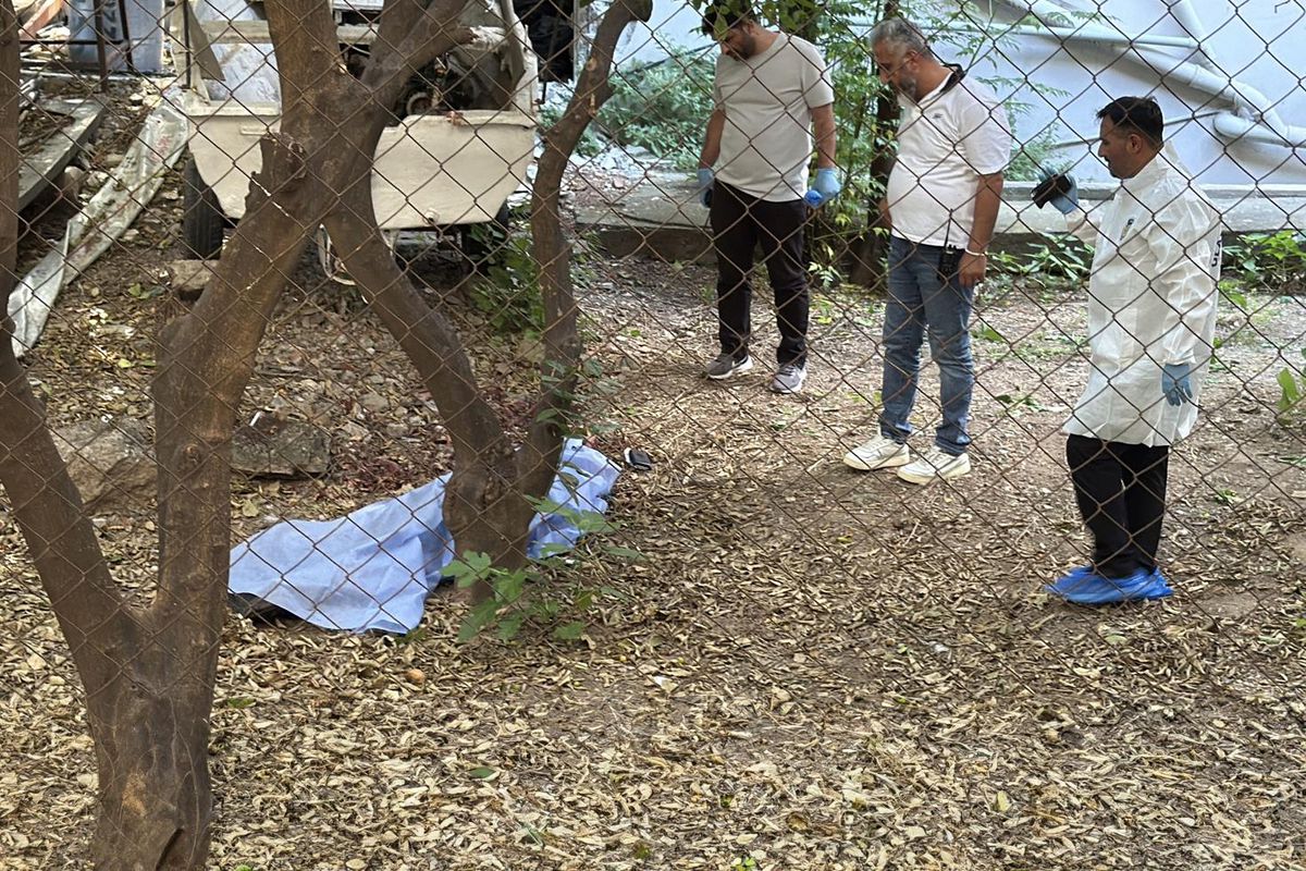 Bahçede kanlar içinde bulundu! Yanındaki detay kafaları karıştırdı