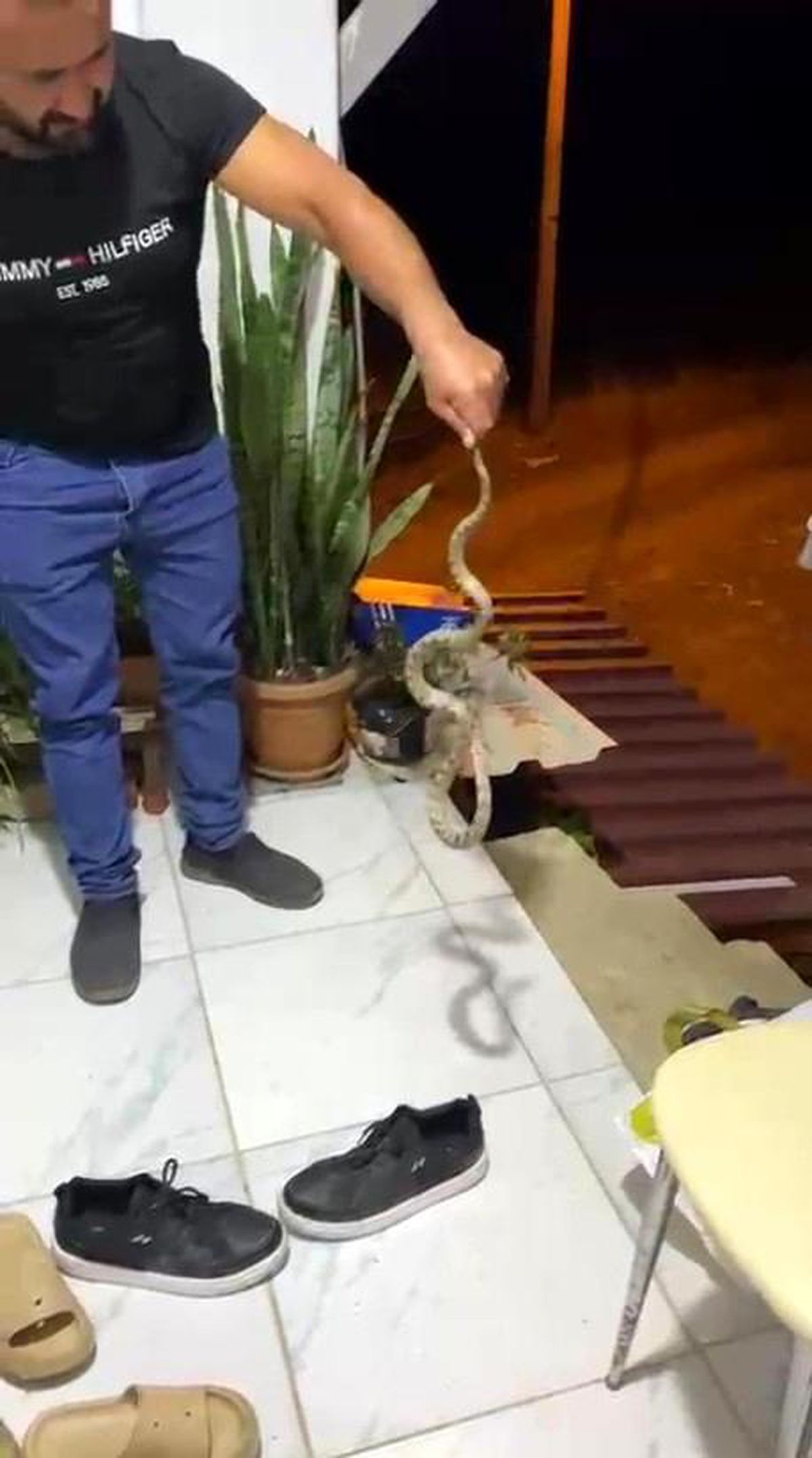 Evine giren yılanı