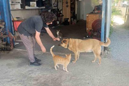 Gözleri görmeyen köpeğe 13 yıldır evladı gibi bakıyor