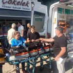Palmiyeye çarpan Tofaş hurdaya döndü: 4 genç yaralandı