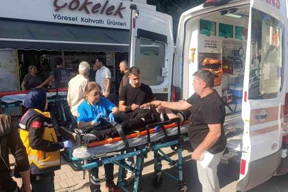 Palmiyeye çarpan Tofaş hurdaya döndü: 4 genç yaralandı