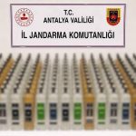 Alanya ve Manavgat