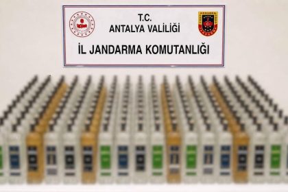 Alanya ve Manavgat