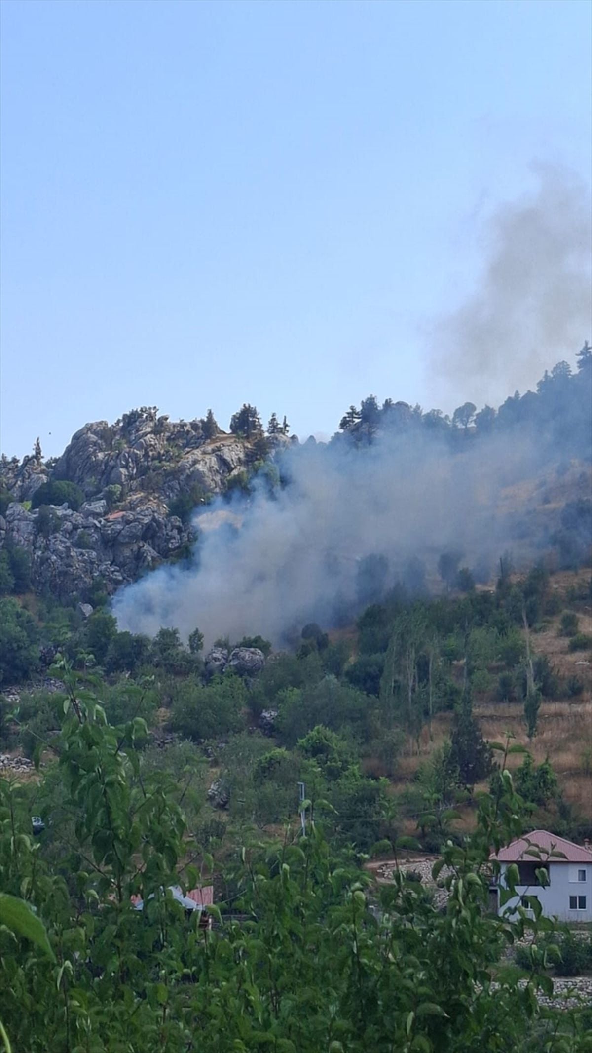 Alanya