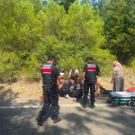 Manavgat’ta römork üzerindeki botlar devrildi: 3 yaralı