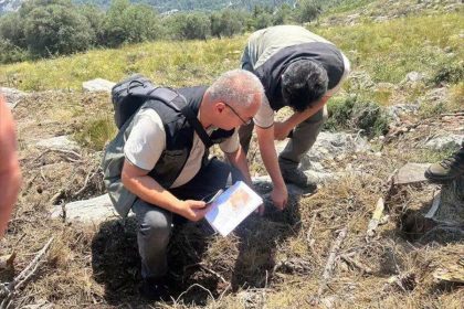 Orman Bölge Müdürü Kayıran, Finike