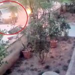 Üzerine araç sürülerek hayatını kaybetmişti, organları ile 5 hastaya umut oldu