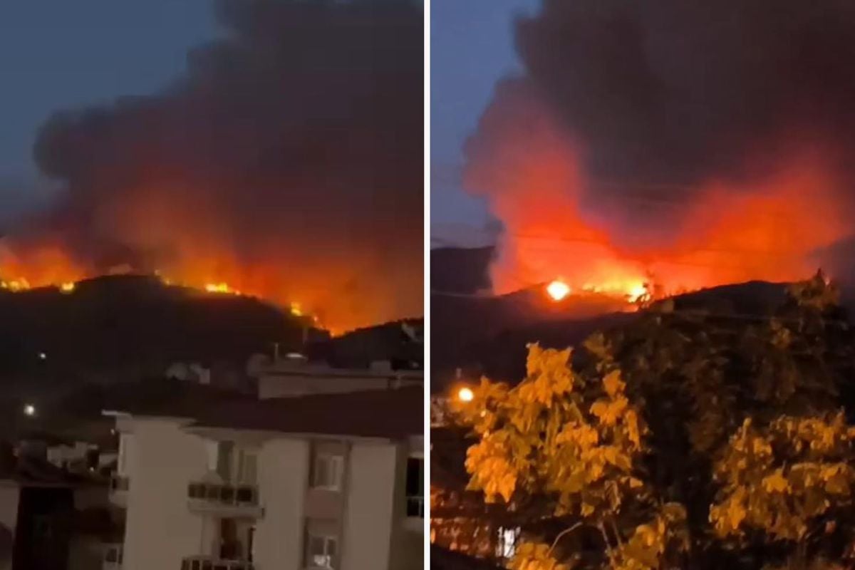 Aydın ve Balıkesir