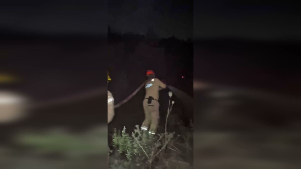 Bakan Yumaklı: 4 ilde yangınlar büyük ölçüde kontrol altında, Alanya