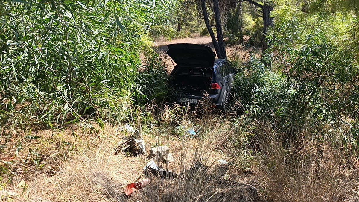 Önündeki otomobile çarptı, ardından ormana daldı: 1 yaralı