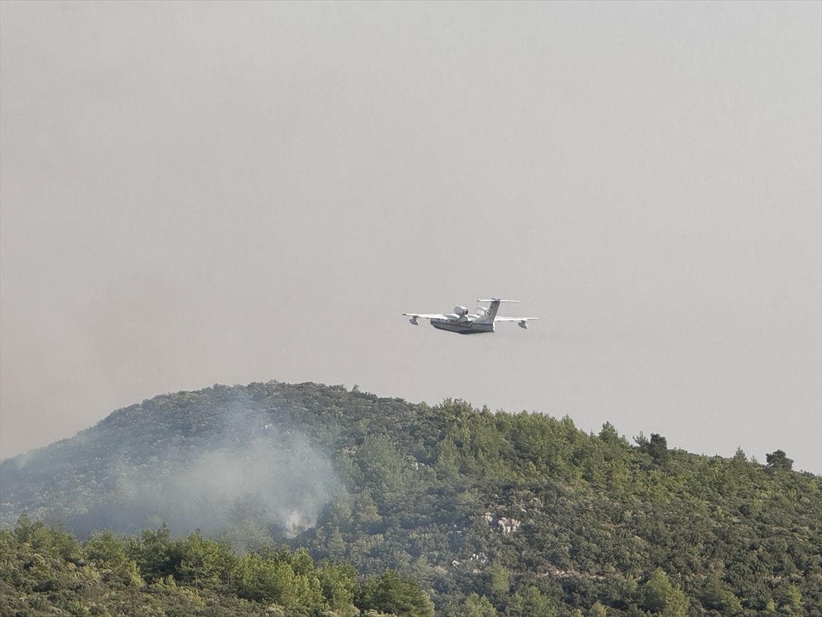 Alanya