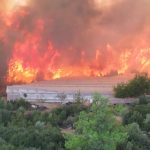 Antalya’da yangında ibretlik görüntüler, facia böyle geldi